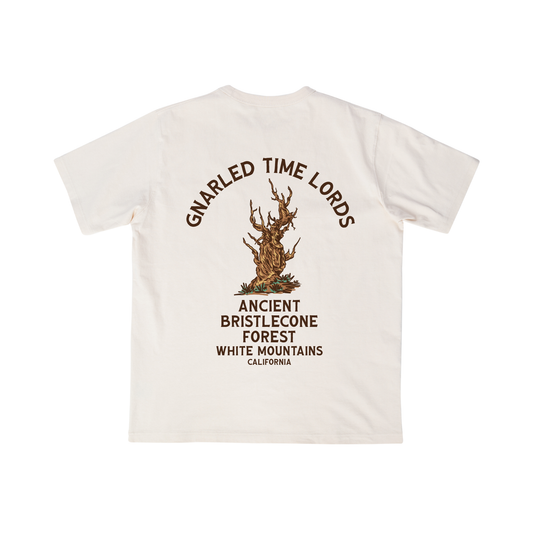 Vacation Tee: Ancient Bristlecone Forest