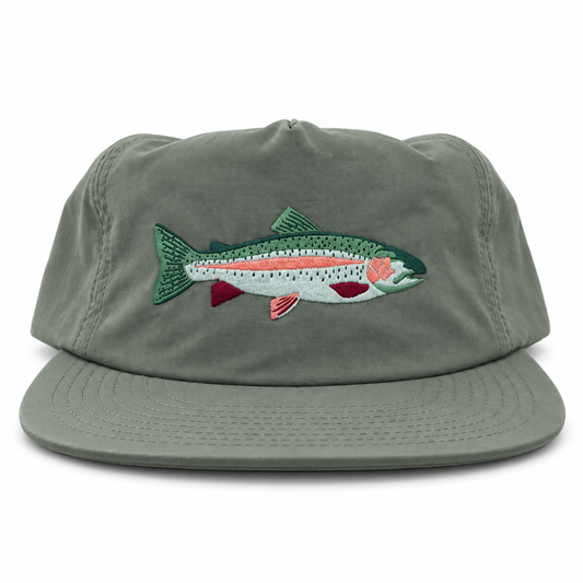 Here Fishy Fishy