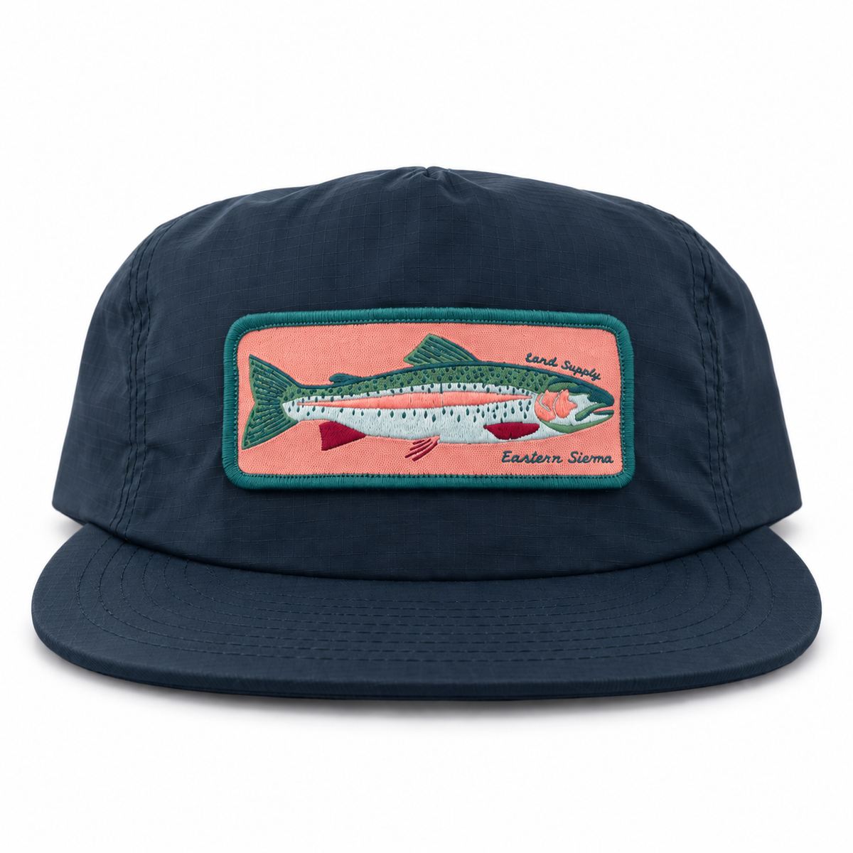 Here Fishy Fishy