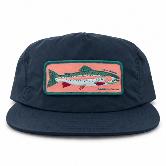 Here Fishy Fishy
